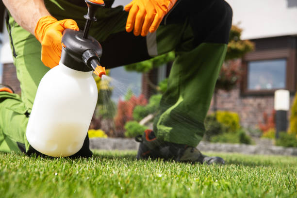 Best Ant Control Services  in Redstone Arsen, AL