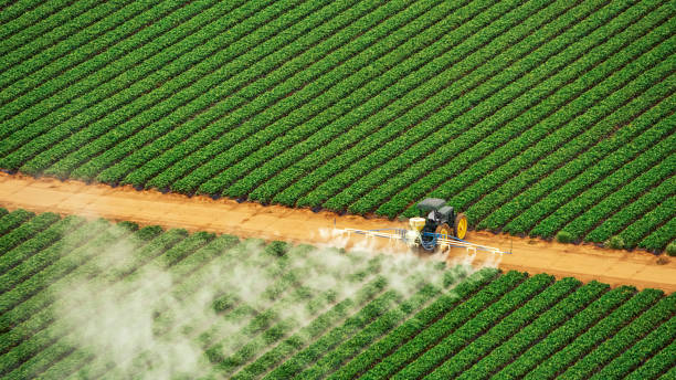Wasp Removal Services in Redstone Arsenal, AL