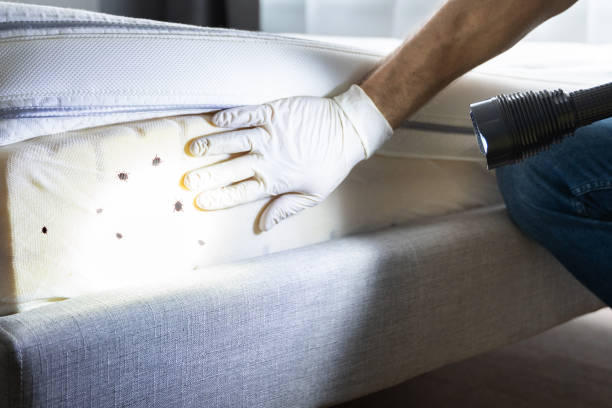 Best Flea Control Services  in Redstone Arsen, AL