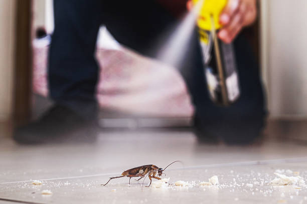 Best Best Pest Control Companies  in Redstone Arsen, AL