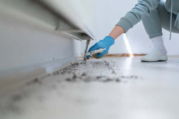 Best Local Pest Control Services  in Redstone Arsen, AL