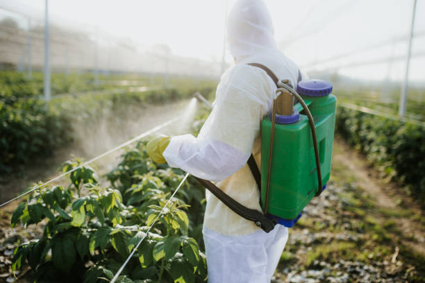 Best Affordable Pest Control Services  in Redstone Arsen, AL